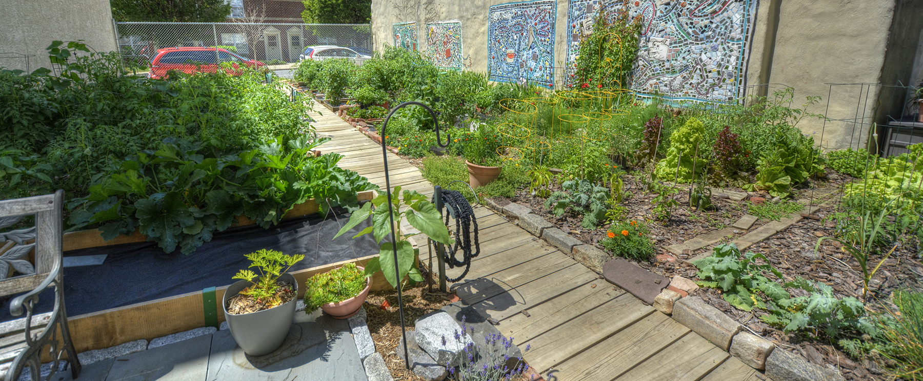 The Top 8 Newbie Urban Gardening Mistakes