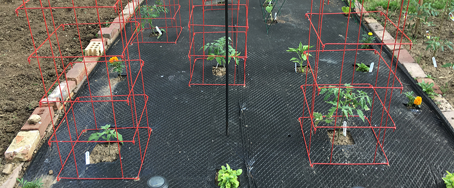 square tomato cages