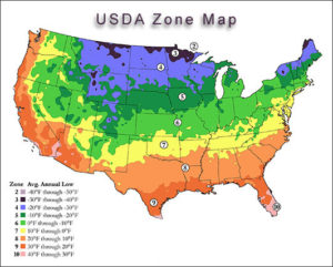 Urban Gardening Mistakes - Not paying attention to this USDA Zone Map